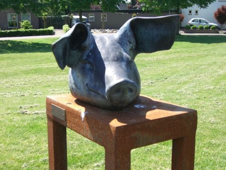 Bergen-Aijen NL : Jährlich findet traditionell ein Köpkesmert ( Köpfchen-Markt ) statt. Die Schweineköpfe werden versteigert.